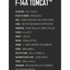 Grumman F14 Tomcat - Top Gun - Byggklossar - 5920 - COBI - 1:48