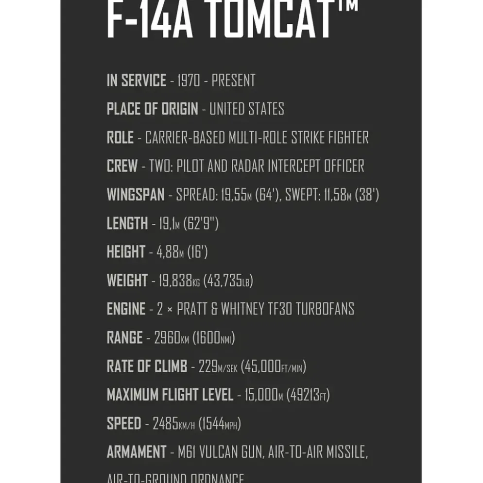 Grumman F14 Tomcat - Top Gun - Byggklossar - 5920 - COBI - 1:48